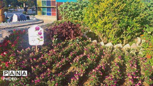 طراوت گل‌ها در قلب کوی صنعتی اراک