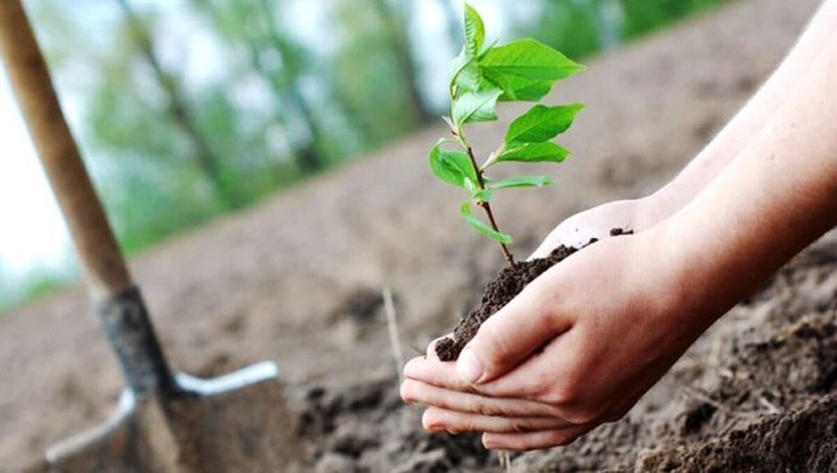 تأخیر در اجرای «قانون حفاظت از خاک» تهدیدی برای امنیت غذایی است
