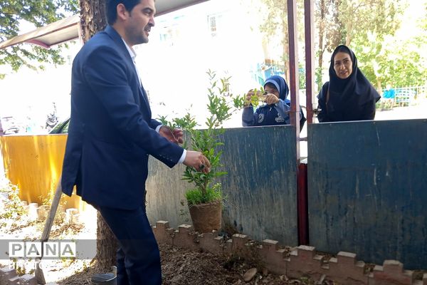 طرح محیط زیستی شهید مفقود الاثر ماکان نصیری در مدرسه رضوان ناحیه دو بهارستان