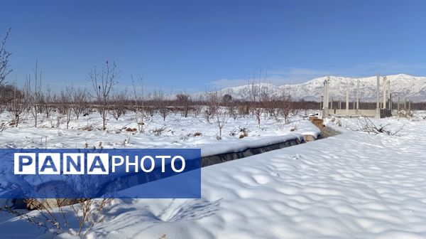 منظره زیبای برف پاییزی در باغات شهرستان نیشابور 