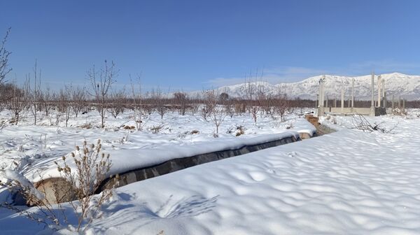 منظره زیبای برف پاییزی در باغات شهرستان نیشابور 