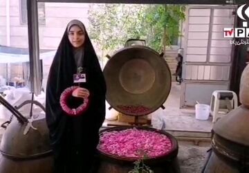 گزارش خبرنگار پانا قم از آیین گلاب‌گیری در کاشان