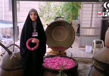 گزارش خبرنگار پانا قم از آیین گلاب‌گیری در کاشان