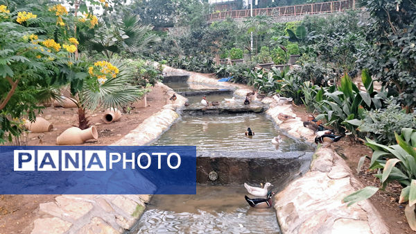 باغ پرندگان قم: جاذبه‌ای بی‌نظیر در قلب کشور