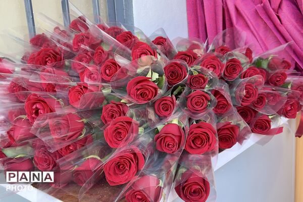 روایت تصویری آیین بازگشایی مدارس در دبستان منصور نفر منطقه ۴