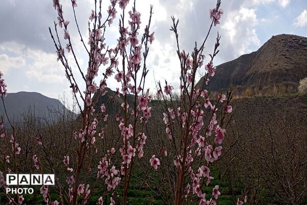 حال هوای شهر بار نیشابور بعد از بارش باران زیبا