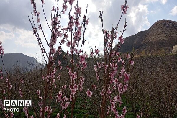 حال هوای شهر بار نیشابور بعد از بارش باران زیبا