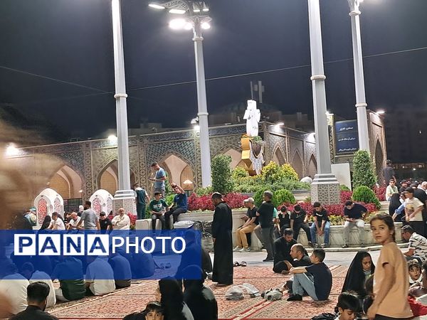 کبوتر حرم مشهد مقدس