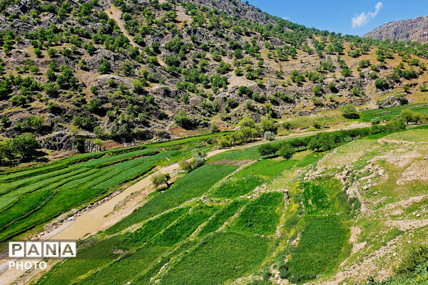 مهمان نوازی مردم انقلابی و غیور روستای پل بریده از مسئولین و رزمندگان