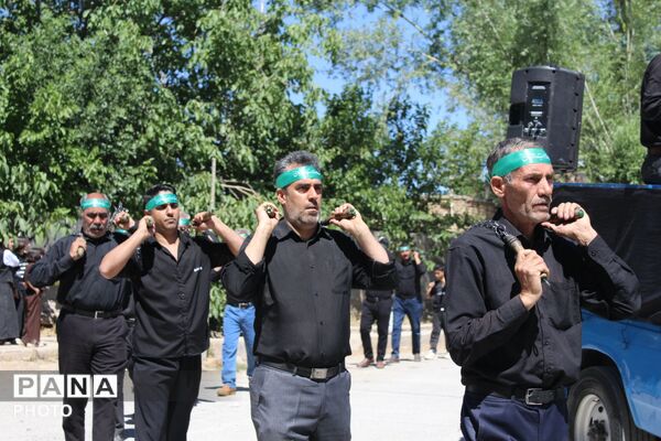 شورِ شیدایی در هرچگان