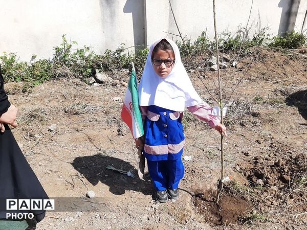 کاشت ۴۰ اصله نهال  به مناسبت چهلمین روز شهادت‌ قائد امت اسلامی ودانش آموزان میناب در تالش