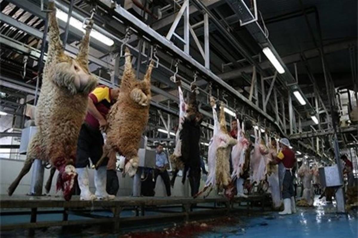 حبس و پلمپ واحدصنفی در انتظار عرضه‌کنندگان غیرمجاز گوشت 