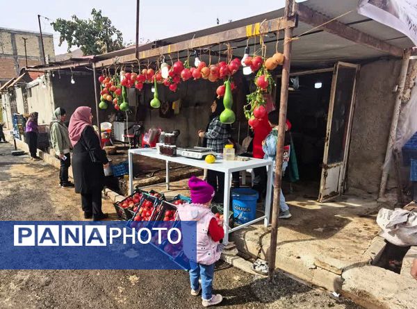 برگزاری جشنواره اناردون در روستای محمودآباد شهرستان فیروزکوه