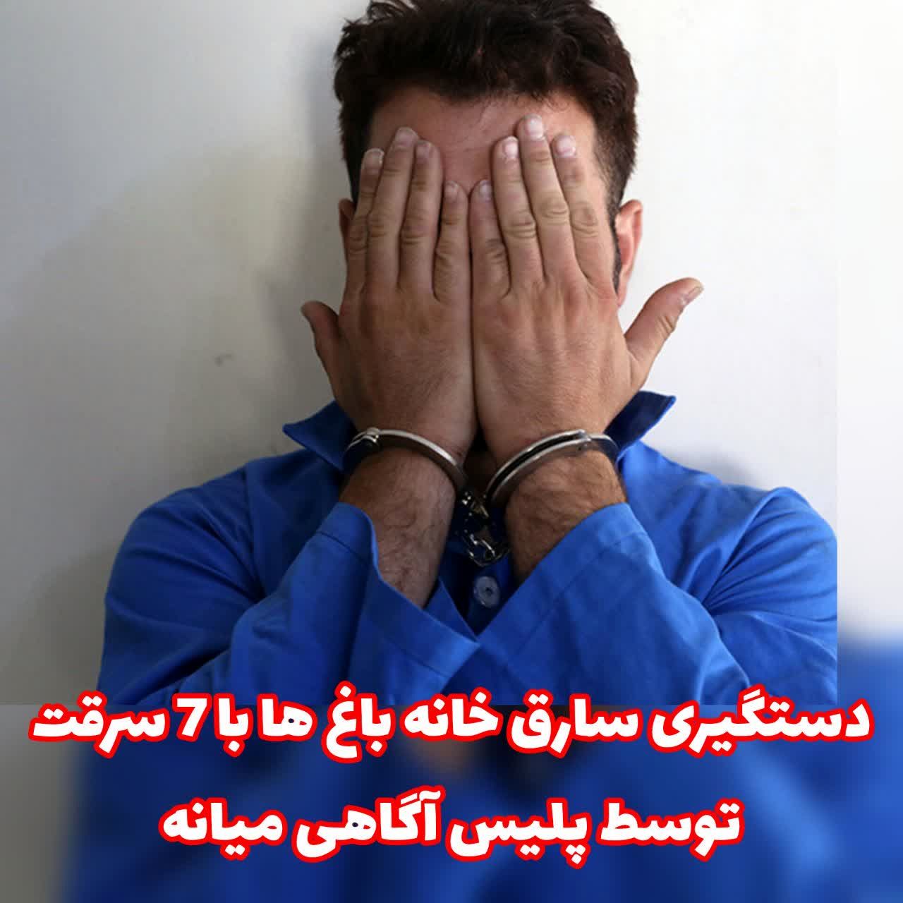 دستگیری سارق خانه باغ ها توسط پلیس آگاهی شهرستان میانه