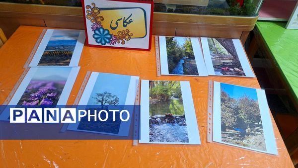 نمایشگاه هنری؛ جرقه‌ای از امید و استعداد در دبستان آرمینه مصلی‌نژاد