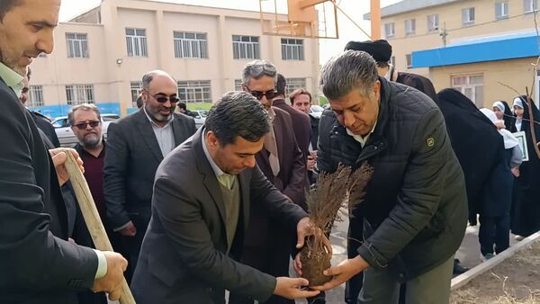 مراسم درخت‌کاری در زنجان