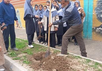 درختی برای زندگی؛ یادواره‌ای برای شهدا