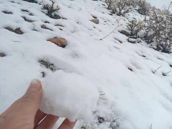 بارش برف بهاری در کوهسرخ