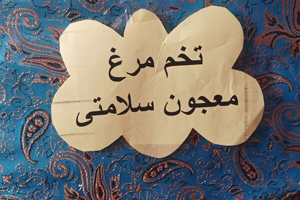 صبحانه سلامت در دبستان صابران یک شهریار
