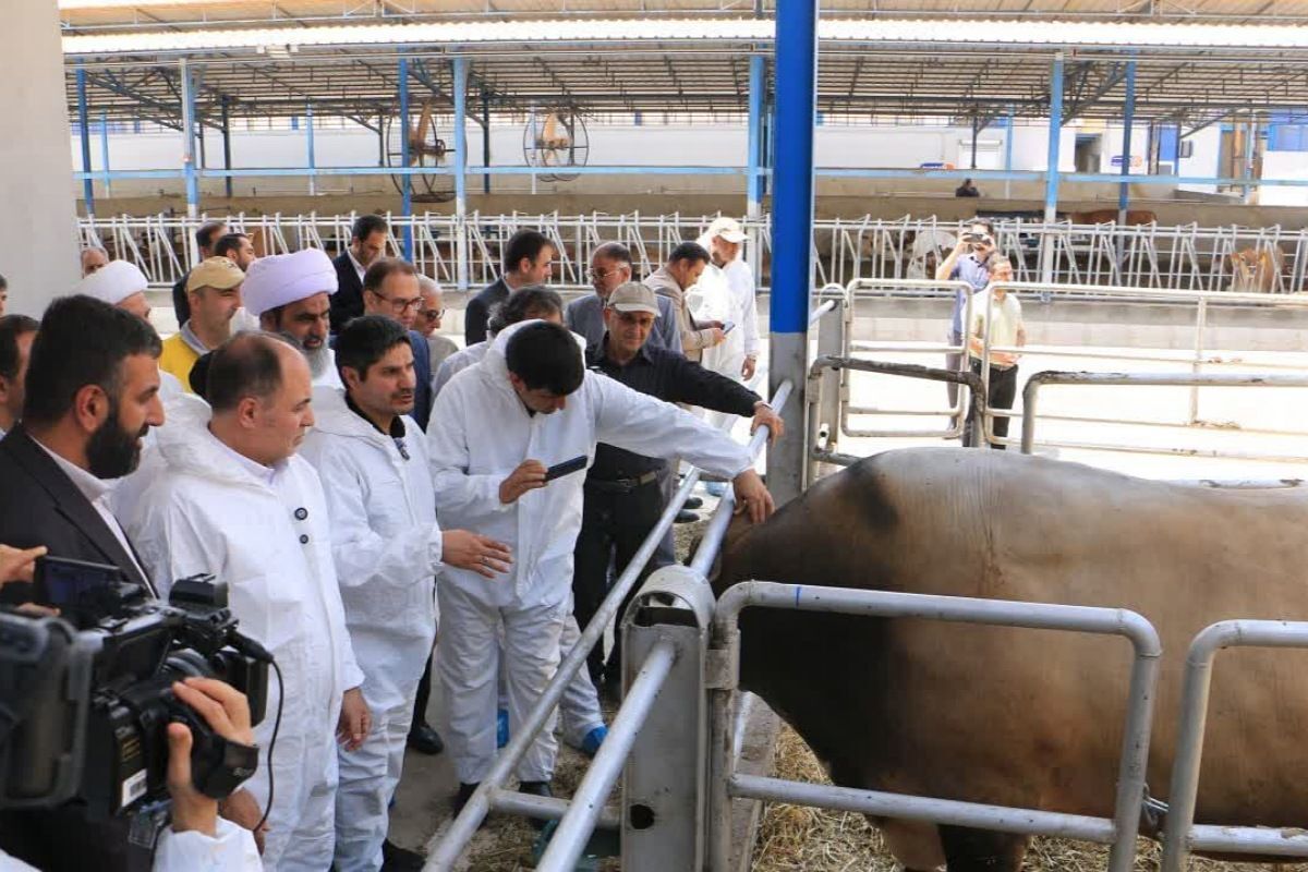 آیین افتتاح شرکت سینا فناوران ماندگار در شهرستان ملارد 