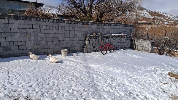 بارش برف در میانکوه