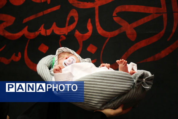 همایش شیرخوارگان حسینی در قم -1