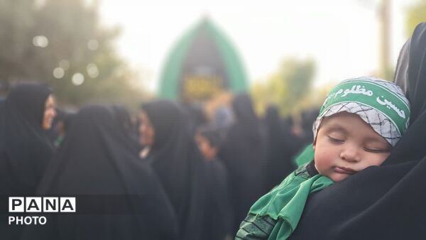 نخل برداری و علم گردانی در روز عاشورا - یزد