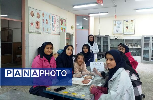 برگزاری کلاس آناتومی و تشریح مغز در پژوهش‌سرای بوعلی سینا ملارد