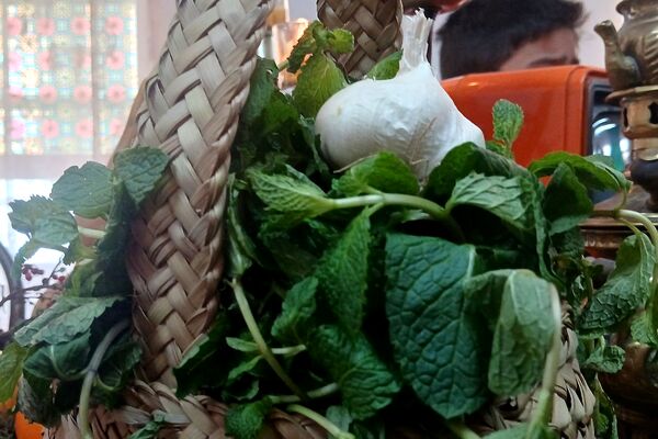رنگین‌کمان فرهنگ‌ها در دل شهریار؛ جشنواره‌ای با طعم غذاهای محلی و لباس‌های رنگارنگ