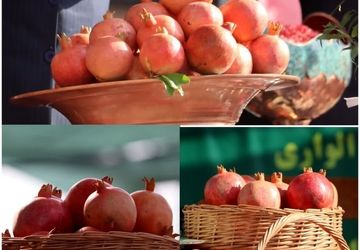 چهارمین جشنواره ملی انار در بخش کوهنانی