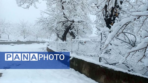 بارش برف در ارتفاعات شاندیز