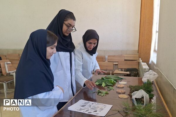 نمایش توانمندی‌های علمی دانش‌آموزان ناحیه سه شیراز در جشنواره خوارزمی