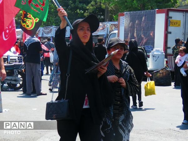 نبض دلتنگی در مسیر عاشقی