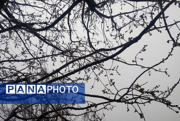 میانکوه سال ۱۴۰۴ خود را متفاوت شروع کرد