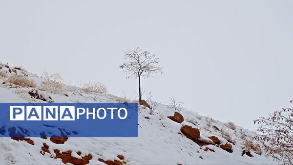 گرداب بن زیر چتر سپید برف