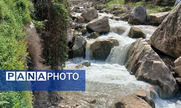 طبیعت روستای بارز، طبیعتی زیبا در دل استان چهارمحال‌وبختیاری 