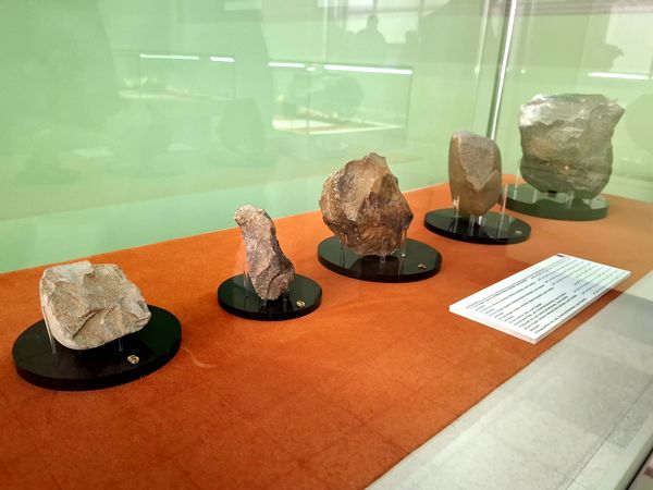 گشتی در تاریخ؛ از مدرسه دارالفنون به سمت دوره ایران باستان