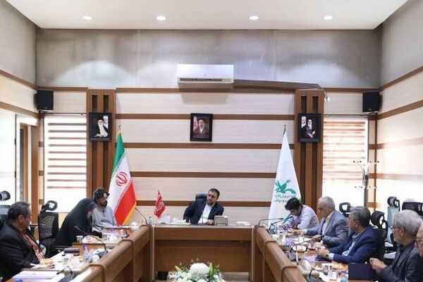 تأکید بر آموزش، استانداردسازی و تعریف مشترک صنایع خلاق در نشست شورای نظارت بر اسباب‌بازی