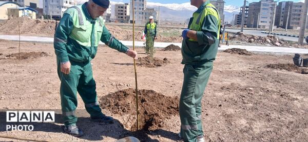 با کاشت هر نهال، ایجاد امیدی تازه در کشور