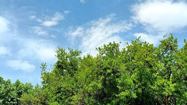 مسن و سرتنگ روستاهایی در دل طبیعت خانمیرزا 