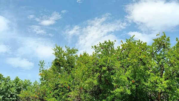 مسن و سرتنگ روستاهایی در دل طبیعت خانمیرزا 