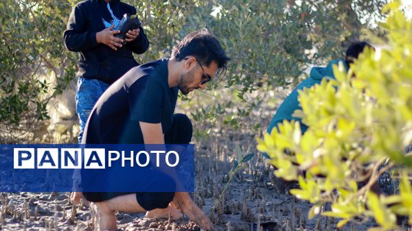 پاکسازی و کاشت نهال حرا در تالاب بندرخمیر