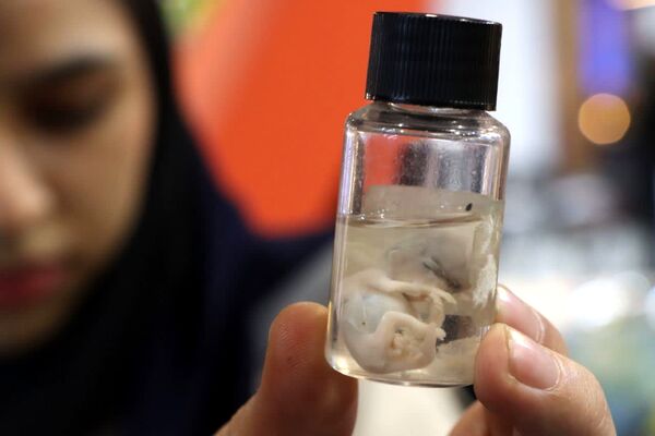 دوازدهمین نمایشگاه دستاوردهای پژوهش، فناوری و فن‌بازار در یزد آغاز به کار کرد
