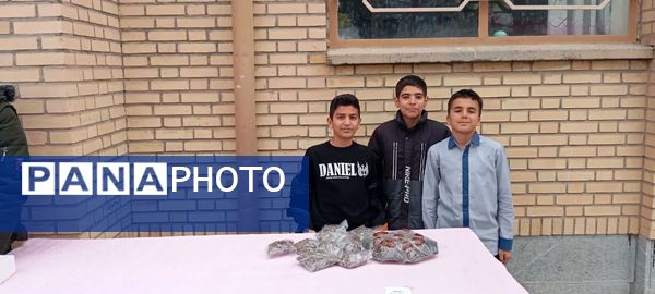 برگزاری بازار چه دانش‌آموزی دبیرستان پسرانه متوسطه اول آزادگان شهرستان کاشمر 