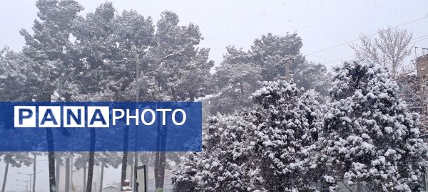 شهر نیشابور سفید پوش شد 