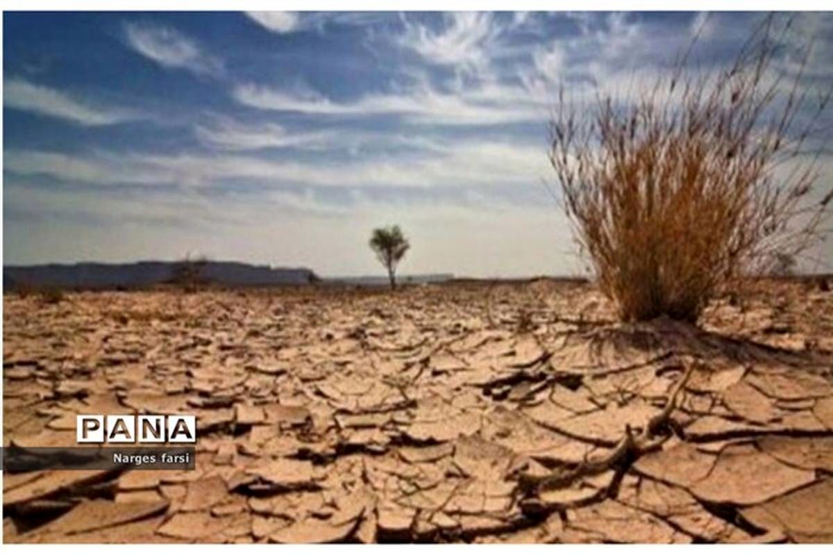 خشکسالی و نابودی مزارع؛فاجعه های خاموش در کشاورزی