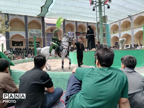 میدان توت اردکان، میزبان عزاداران امام حسن مجتبی(ع) از سراسر یزد