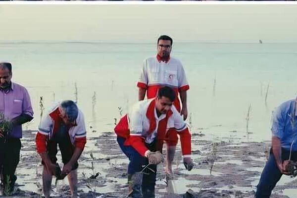 کاشت سه هزار نهال حرا در بوشهر به همت  کارکنان، امدادگران، داوطلبان و اعضای جمعیت هلال‌احمر در هفته هلال