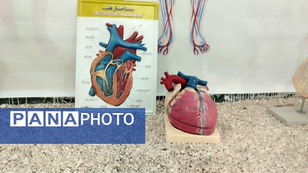 بازدید دانش‌آموزان ناحیه یک مشهد از پژوهش‌سرای علامه طباطبایی