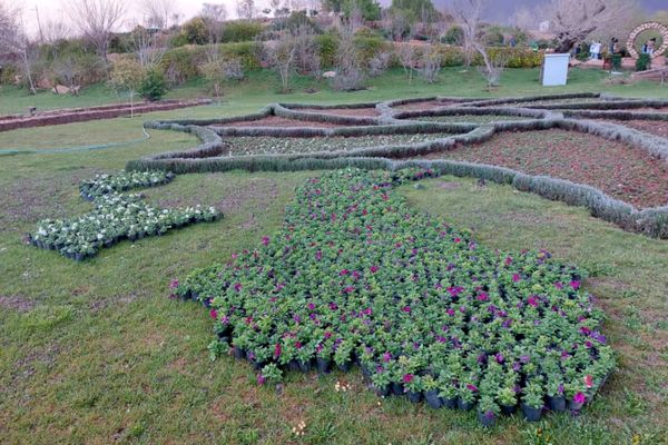 باغ گل ها در شهر گل ها شیراز